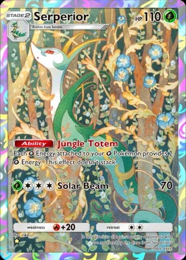 ジャローダ