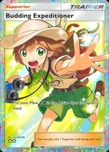 かけだし調査員